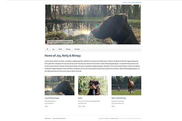 Website - kreml.co.at